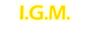 I.G.M. Senior Secondary Public School